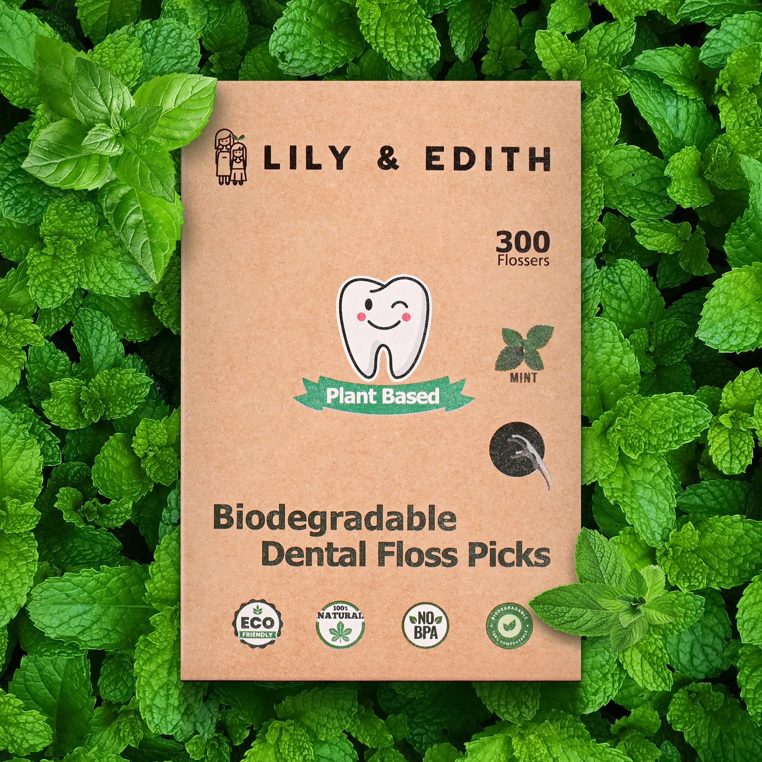 dental floss picks reusable